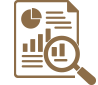 Systemic organizational audit